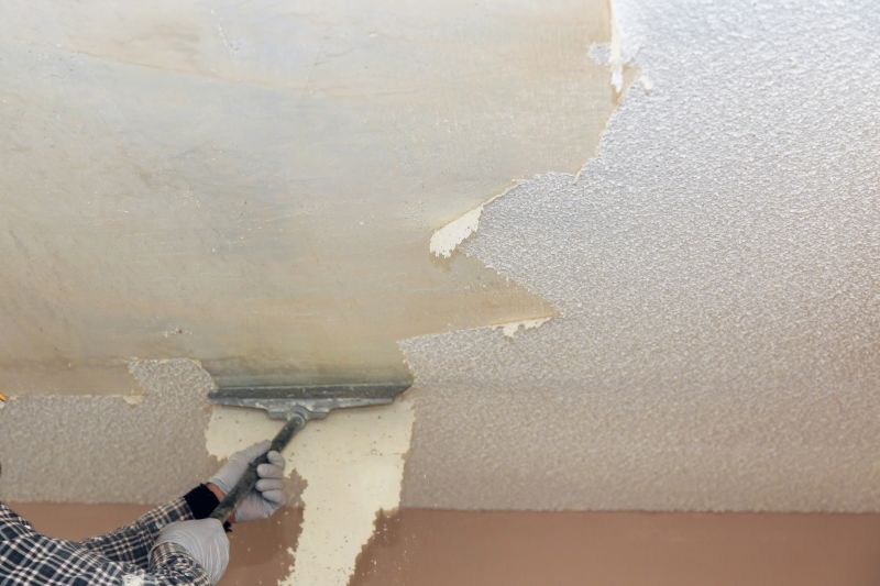 Swirl Ceiling Removal in Alpharetta, GA